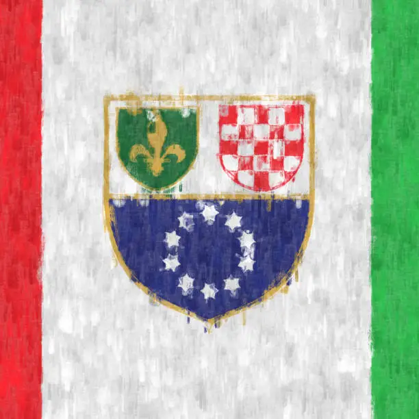 Federation of Bosnia and Herzegovina oil painting. Federation of Bosnia and Herzegovina emblem drawing canvas. A painted picture of a country's flag.