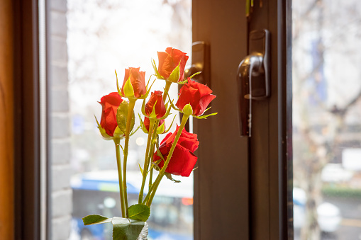 Climbing red and orange roses bloom in the garden near the window of a small wooden house