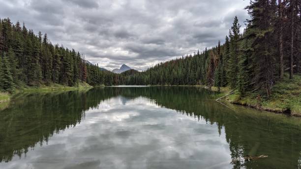 istock Moose Lake and Montains (photo2) 1371520215