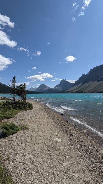 istock Bow Lake and Montains (photo3) 1371520838