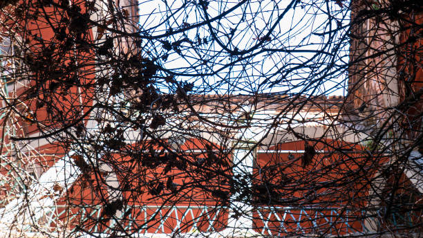 istock Looking Skyward from the Courtyard of an Old Building Complex 1371523052