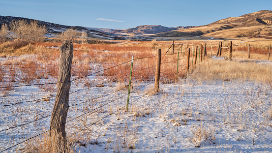 cattle barbed wire fence in  Colorado foothills of Rocky Mountains, winter scenery of Red Mountain Open Space near Fort Collins
