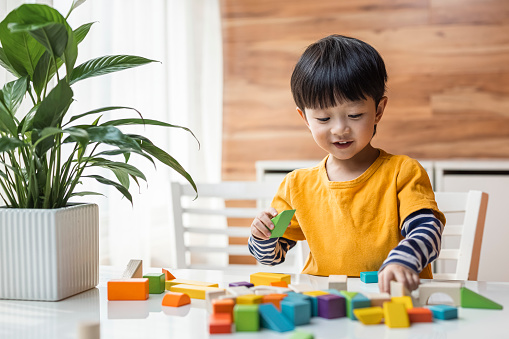 A little asian boy, on the balcony of his home. Wearing a yellow sweater and curly hair, he was playing with building blocks on the dining table. Next to the window, the bright and soft sunshine came in, and he had a good time.
