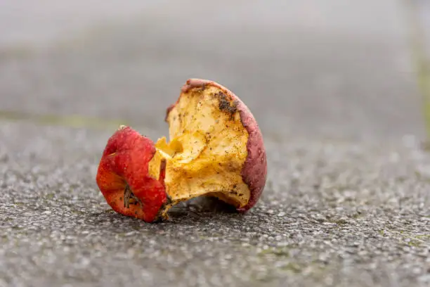 an old bitten apple on a street in selective focus
