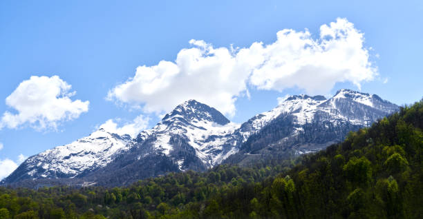 istock Mountain summer landscape, blue sky, sochi russia 1371528626