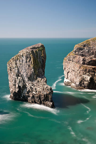 istock The Elegug Sea Stacks, Pembrokeshire, Wales, UK 137153321