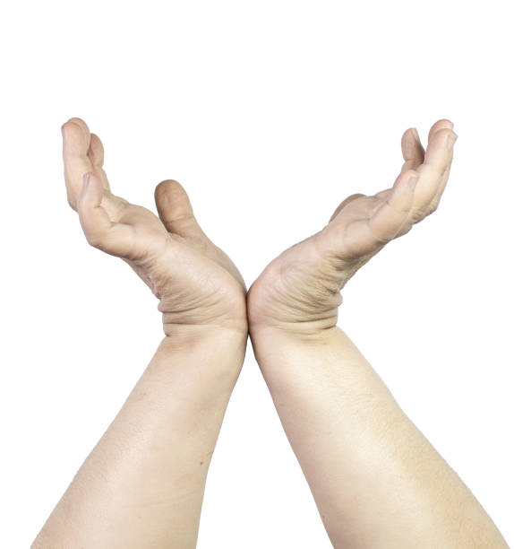 istock Hands for animation  Hands, Watercolor 1371533240