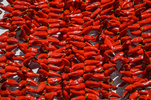 Red peppers of Espelette in rope, in the Basque Country