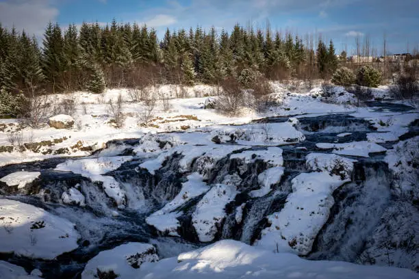 Photo of Kermoafoss waterfall in winter, surrounded by the forest in Reykjavik, Iceland.