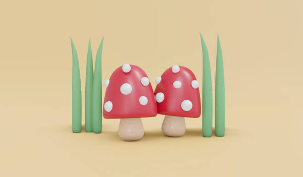 Beautiful photo of mushroom in Autumn on mountain
