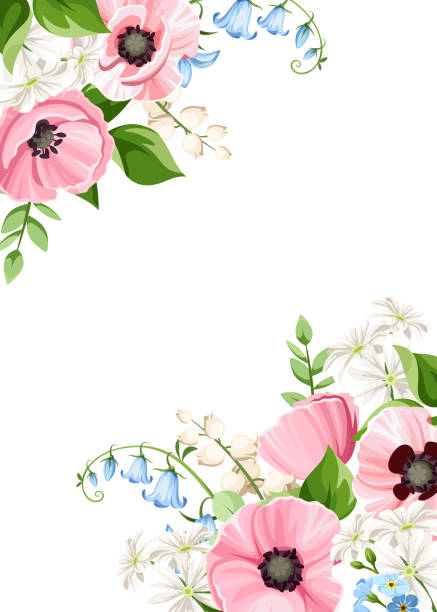 illustrazioni stock, clip art, cartoni animati e icone di tendenza di carta con fiori rosa, blu e bianchi. design vettoriale del biglietto di auguri o di invito - plant poppy oriental poppy green