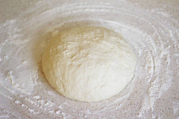 yeast dough for pizza and bread - dough sphere kneading bread imagens e fotografias de stock