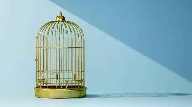 Photo of empty golden bird cage with beam of light