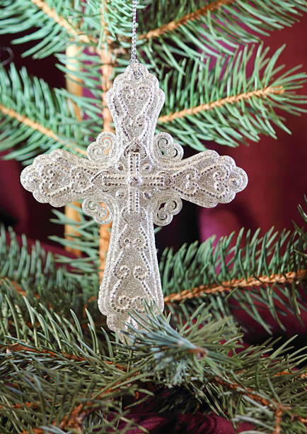cross of faith - bristlecone pine lodgepole pine studio shot pine tree стоковые фото и изображения