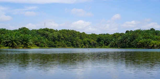 istock Bungara Lake, Aceh stock photo 1371543982