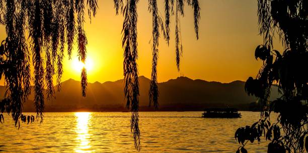 Sunset landscape and scenery at Hangzhou West Lake, sunlight shining through falling willow tree leaves as tour boat crosses the lake passing mountains