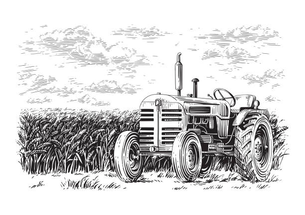 ilustraciones, imágenes clip art, dibujos animados e iconos de stock de tractor en el campo dibujo a mano boceto grabado estilo de ilustración - agriculture field tractor landscape