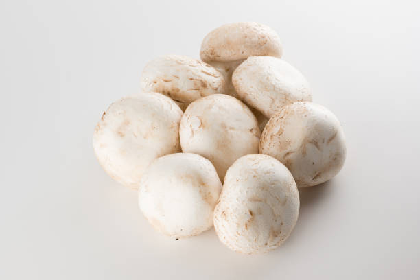 istock premium champignon mushrooms isolated 1371549540