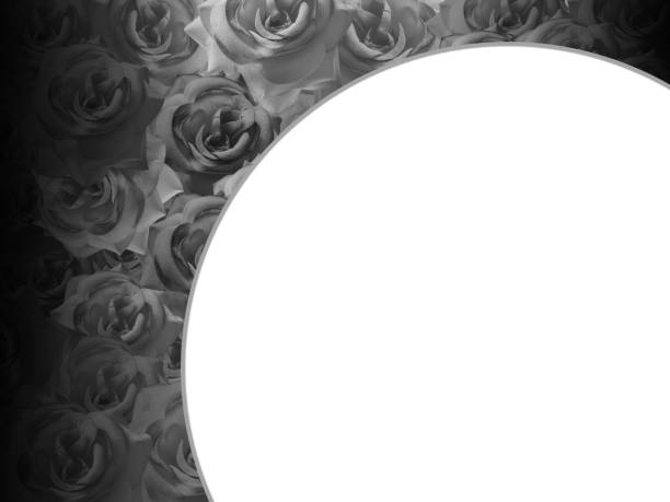 istock white half circle laying on pattern black roses background, banner, template, nature, copy space 1371550800