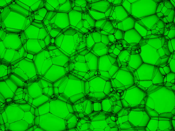istock Microscopic view of water soap bubble 1371550976