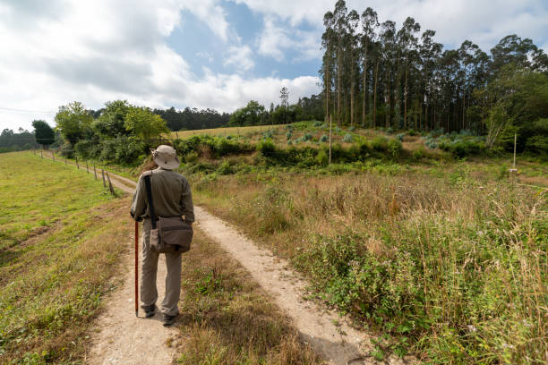 istock Pilgrim with hat, bag and stick walking along a path through the countryside on the Camino de Santiago. Way of St James 1371551994