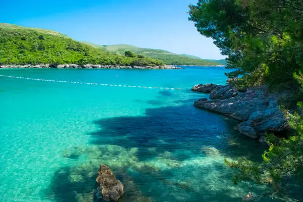 Plavi Horizonti beach. Summer sunny landscape. Radovici. Tivat bay. One of most beautiful beaches in Montenegro. Sandy beach with clear water surrounded by a pine forest is great for children.
