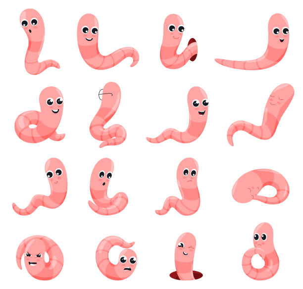 Collection funny pink worms with different poses and emotions vector flat illustration Collection funny pink worms with different poses and emotions vector flat illustration. Set happy, amazement, sleeping, angry, pensive, flirting, hiding, upset applegrubs cartoon characters worm stock illustrations