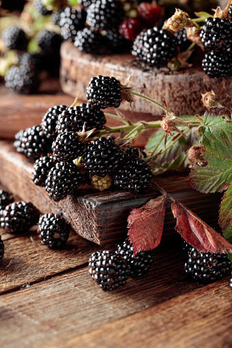 Fresh blackberries on a old wooden table.