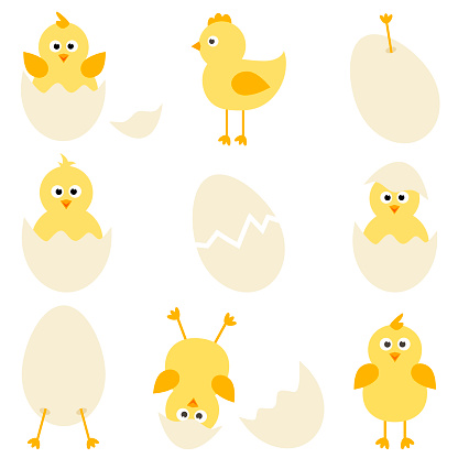 Set of cartoon chickens for easter design