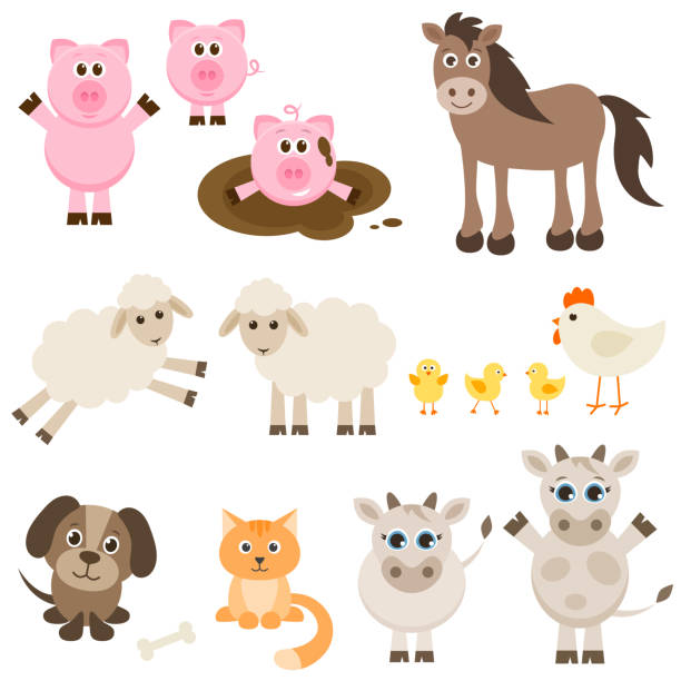 zestaw różnych zwierząt gospodarskich - dog domestic cat pets cartoon stock illustrations