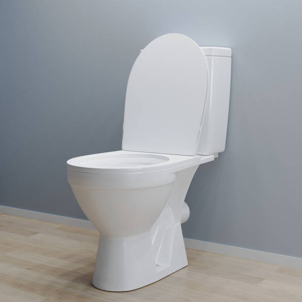 istock toilet bowl with open lid, 3d illustration 1371561962