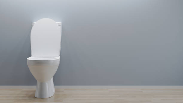 istock toilet bowl, copy space, 3d illustration 1371561965