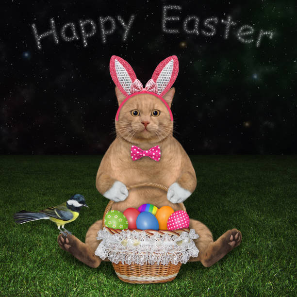 istock Cat reddish with basket of colored eggs at night 1371563485
