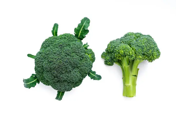 Photo of Broccoli crucifer raw vegetable closeup isolated on white