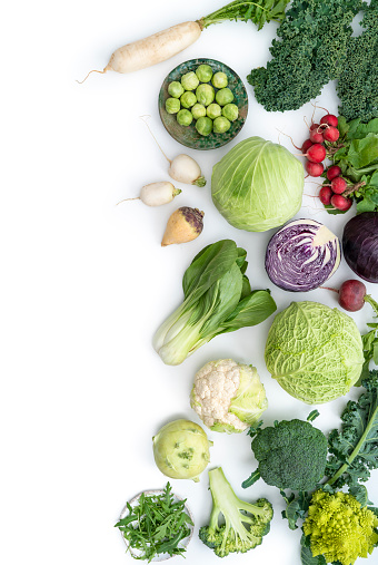 Crucifers vegetables assortment including cabbage, broccoli, cabbage, turnip, kale, romanesco, radish, arugula, kohlrabi and swedes isolated on white leaving copy space