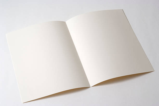 istock Isolated shot of opened white blank brochure on white background 137156568