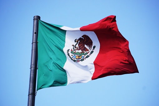 In Playa del Carmen, Mexico a large flag waves against an overcast sky with palm trees in the background.