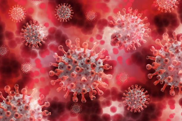 istock covid-19, coronavirus outbreak, virus in a cellular environment, coronavirus flu background, virus epidemic, virus 3d rendering, organism illustration, virus observed micro 1371566667
