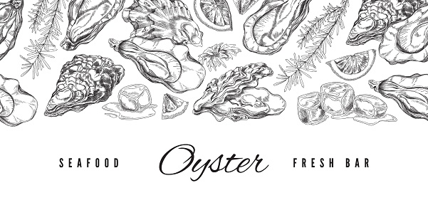 Seafood bar banner with scallops and oysters, engraving vector illustration.