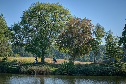 Silhouette of two cyclist below a large tree on a river bank of Labe( Elbe) river.