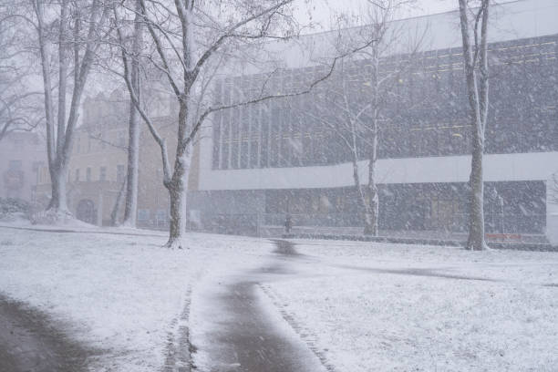 istock snowy park in winter on a cold misty cloudy day 1371579831