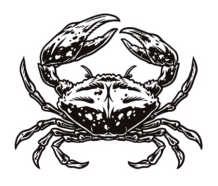 Monochrome  vintage crab isolated on a white background vector illustration