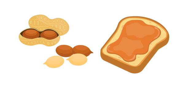 ilustrações de stock, clip art, desenhos animados e ícones de vector illustration of peanut and peanut butter set. vector set of peanut snacks - brown bread illustrations
