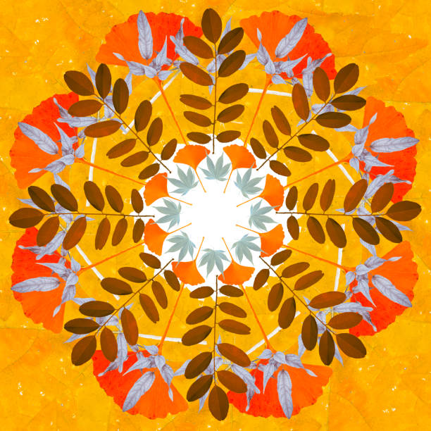 Autumn Leaves Mandala - photograph