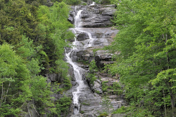 クロフォードノッチ州立公園のシルバーカスケード滝 - silver cascade falls ストックフォトと画像