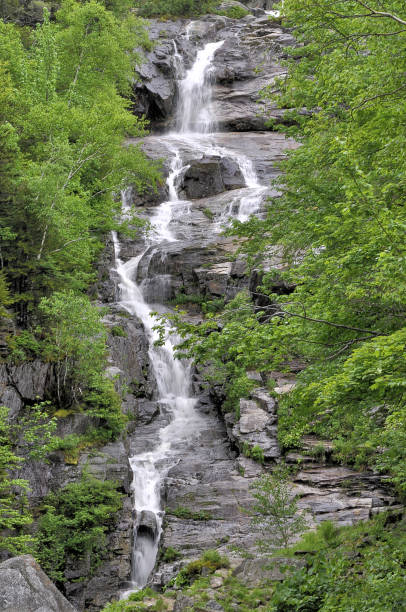 ニューハンプシャー州クロフォードノッチのシルバーカスケード滝 - silver cascade falls ストックフォトと画像