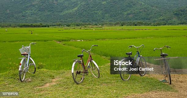 Four Bicycles Parked At Rice Field In Vietnam Stock Photo - Download Image Now - Agricultural Field, Agriculture, Bicycle