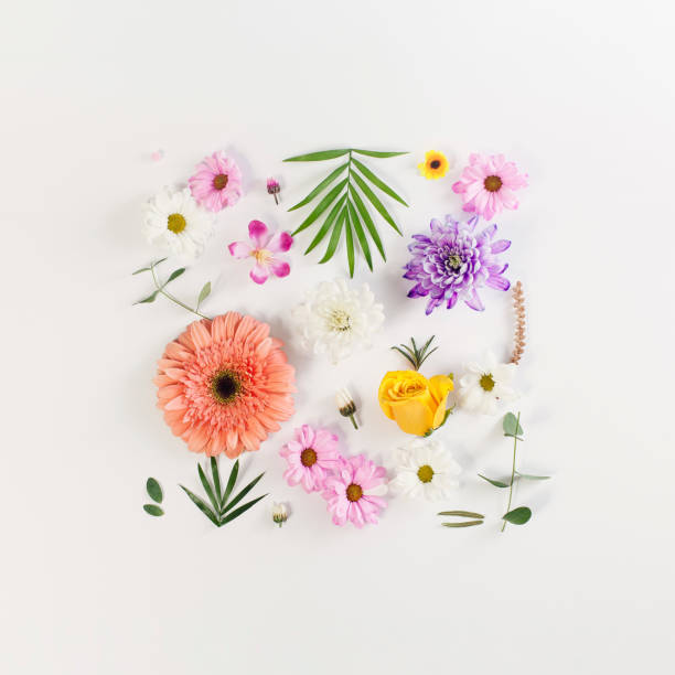 istock Various flowers composition on flat lay white background arranged neatly in square shape. Soft and simple design. 1371592095
