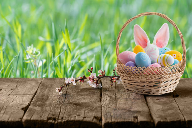 huevos de pascua en canasta y orejas de conejo de pascua detrás de una canasta en una mesa de madera vacía. - easter easter bunny fun humor fotografías e imágenes de stock