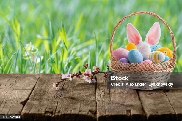 Easter Eggs In Basket And Easter Bunny Ears Behind A Basket On Empty Wooden Table Stock Photo - Download Image Now